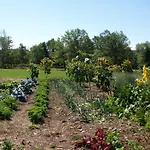 Lukans Farm Resort