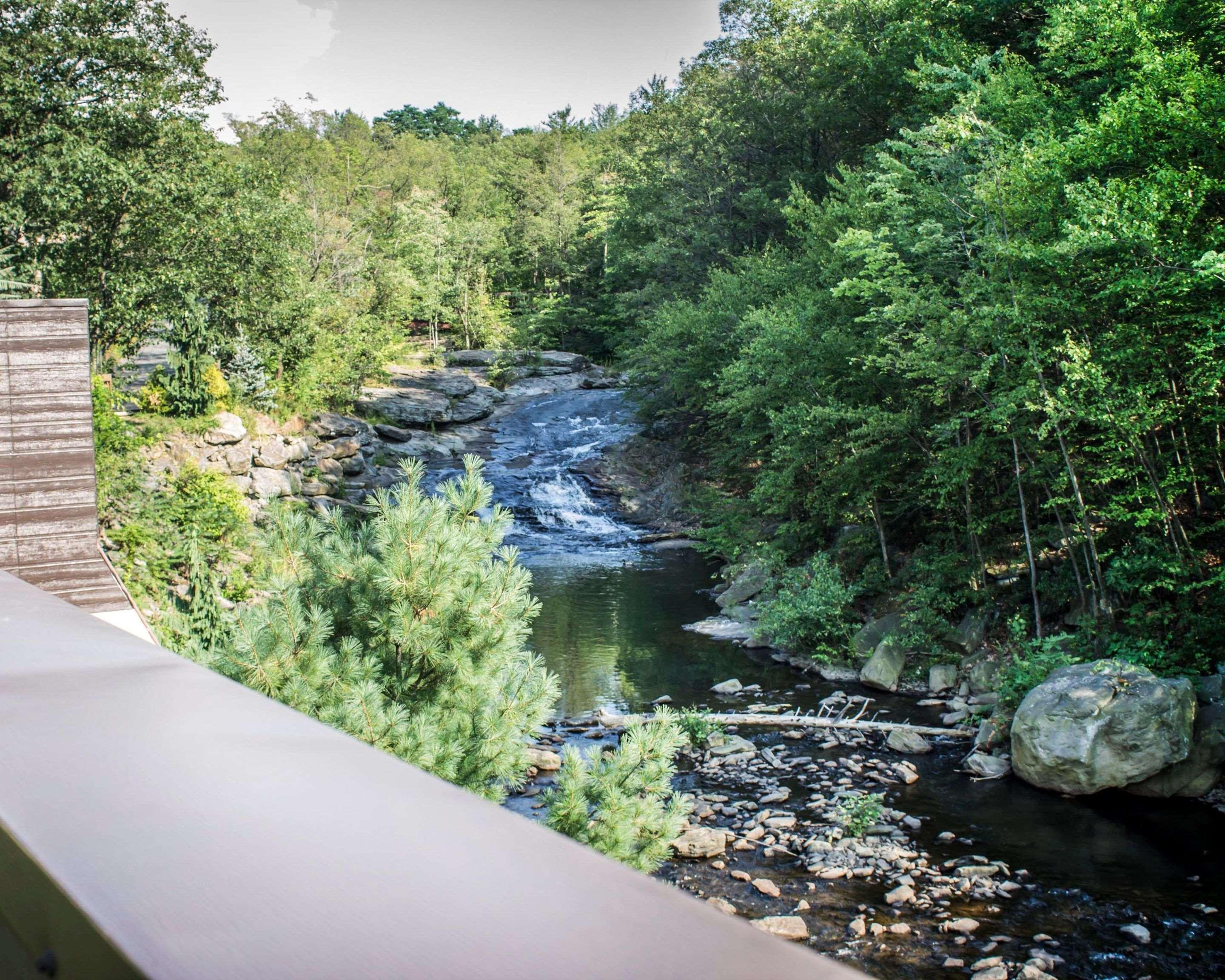 The Woodlands 4* Wilkes-Barre