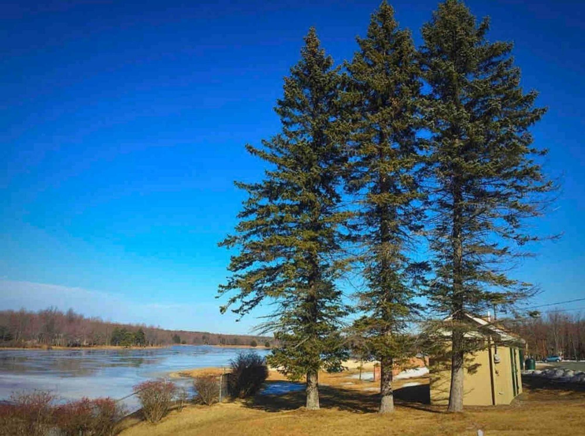 Kids Under 4 Free, Jacuzzi, Sauna, Pool, Lake, Gym