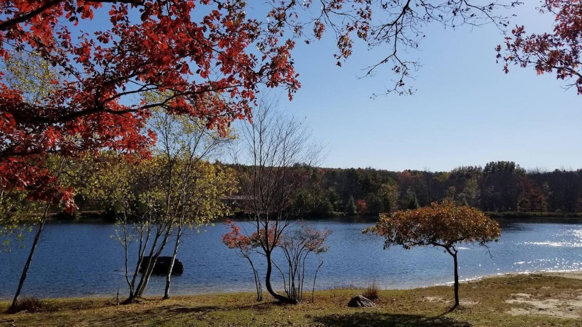 Kids Under 4 Free, Jacuzzi, Sauna, Pool, Lake, Gym * Albrightsville