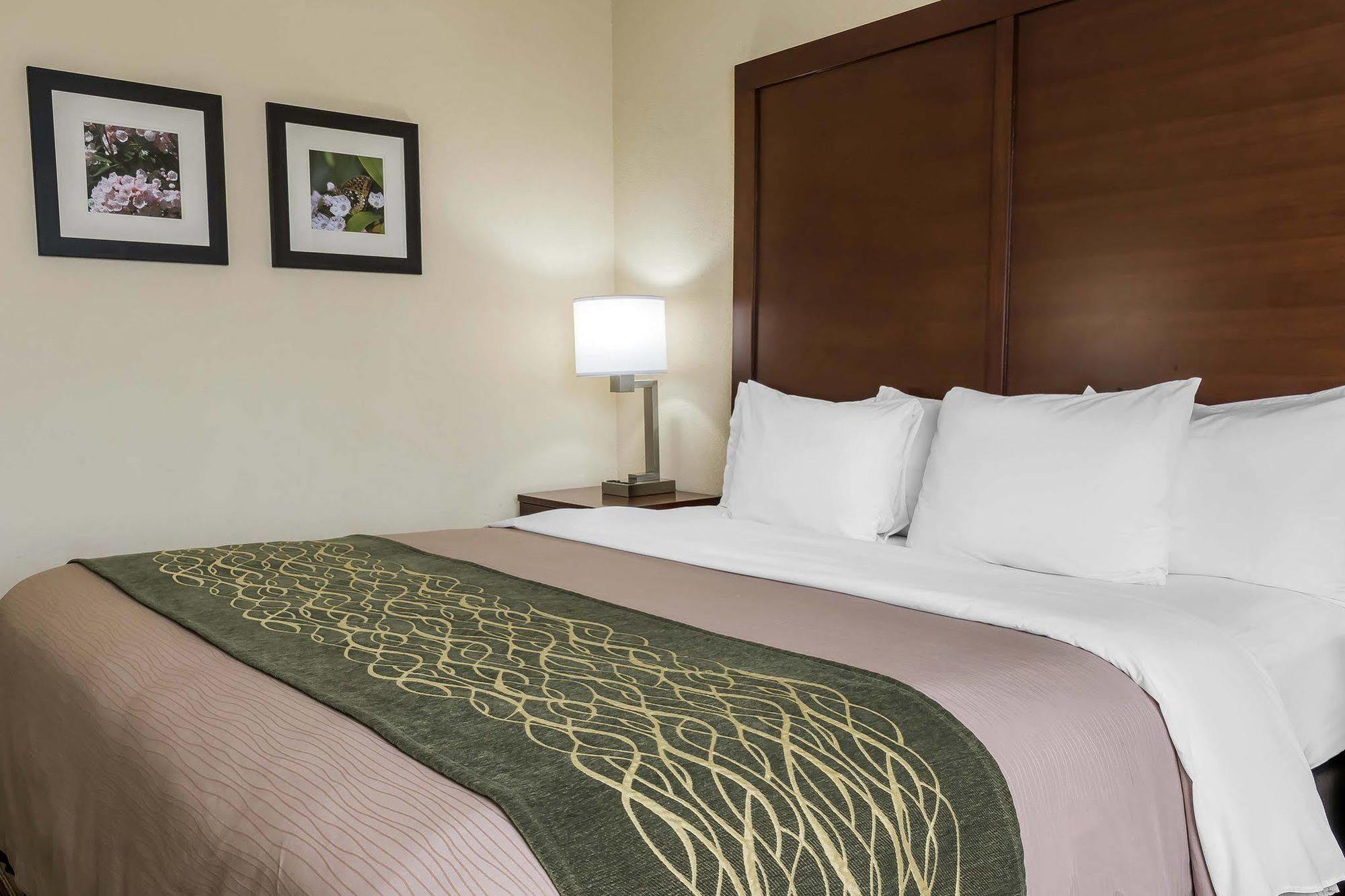 Inn Comfort - Pocono Mountains White Haven