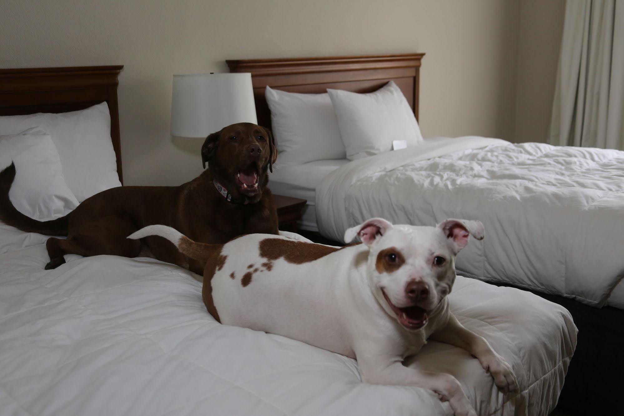 Hotel Country & By Radisson, Lehighton-jim Thorpe, Pa